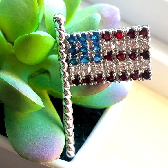 Lavina Jewelry Silvertone Red White And Blue Pave American Flag